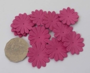 AS4E - 32mm Hot Pink Daisy 